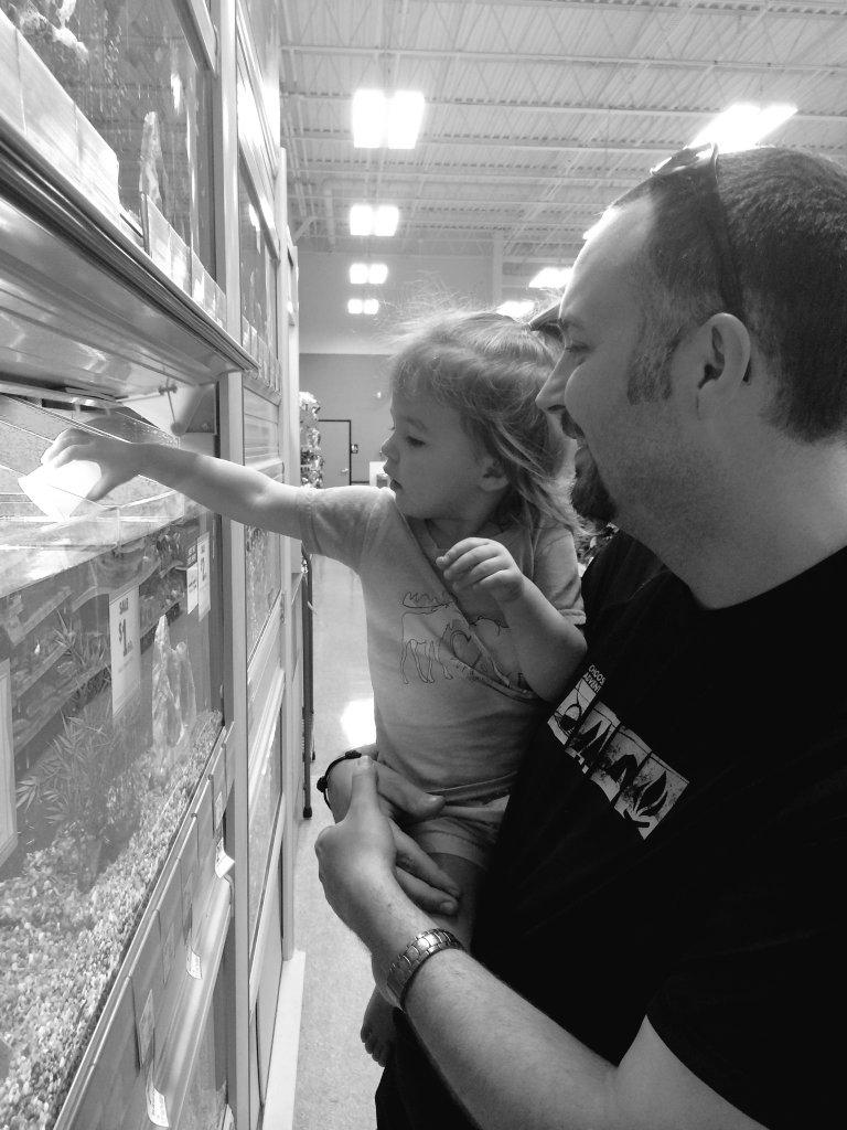 PetSmart tweet media