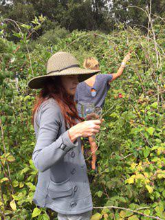CieloHouse's tweet photo. Blackberry picking at the #healproject http://t.co/pTZDAoJYQo