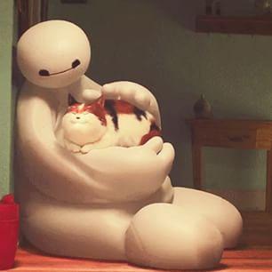 猫大好き En Twitter 毛深い赤ちゃん ベイマックス 毛深い赤ちゃん 猫 Cat Http T Co Zosuazqfty