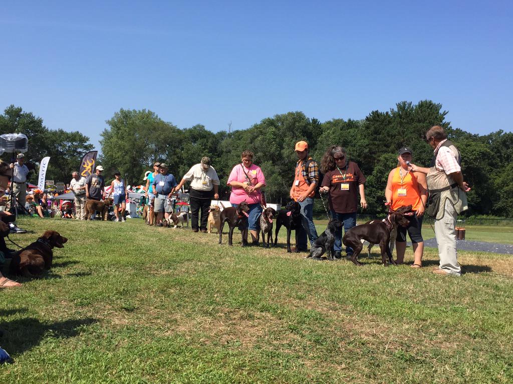 GameFairUSA's tweet photo. Check out the #Doggy #Parade b4 the #trickshooter show at the shooting area. Last doggy parade Sunday! #gamefair2015 http://t.co/0hUwlLWDxe