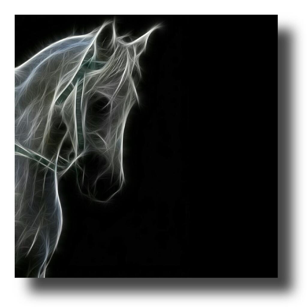 mansour_mohsen tweet picture