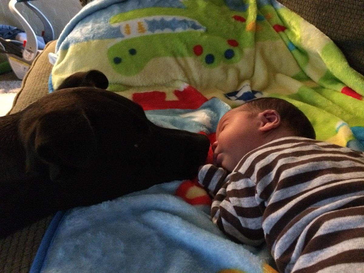 outsidesam's tweet photo. I am best at social media http://t.co/W2sVgrjzis