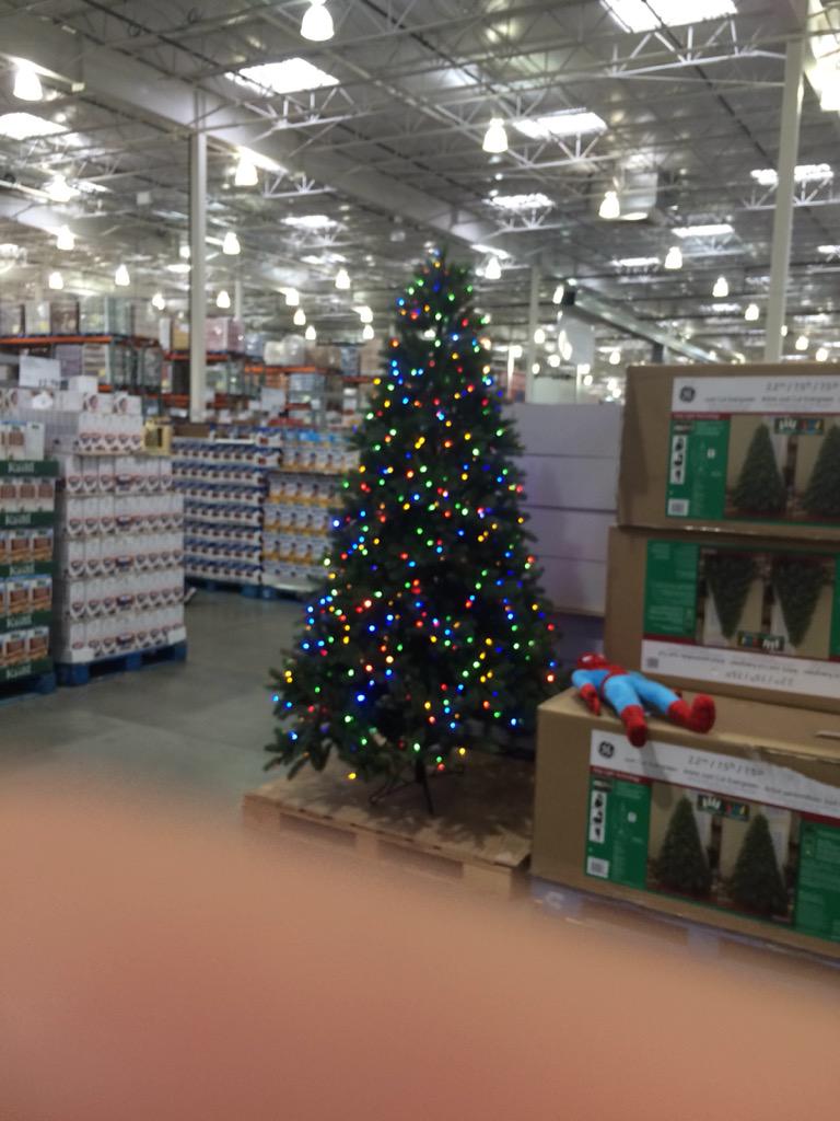 Jamieson Brown Hey Costco Settle Down August Http T Co Nvezzbraai Twitter