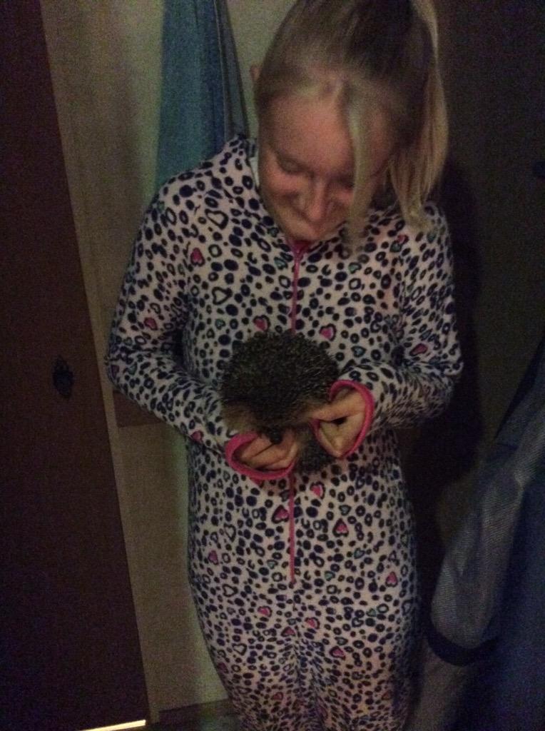 Helen Bowstead (@helenbowstead1) on Twitter photo 