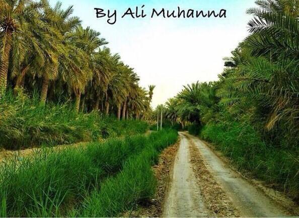 alimoon111's tweet photo. اشكرك على نشر هذه اللقطة التي تعود لي

وتمنيت من الأخ @ibrheem99 انه لم يزل التوقيع فقط لحفظ الحقوق

دمتم جميعا بخير🌹 http://t.co/gOhsRyAFtS