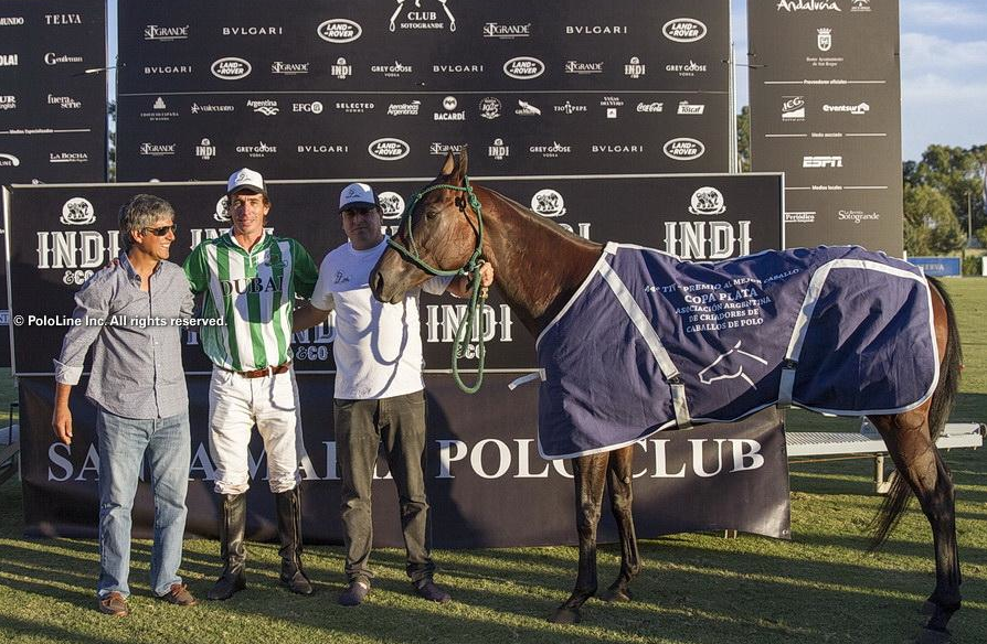 Delmay Gata Negra BBP de la Copa de Plata en Sotogrande. La nota completa en CriaPoloArgentino.com.ar