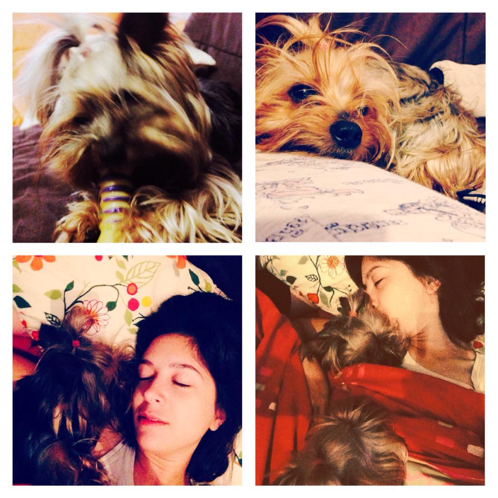 MiriamSandFco's tweet photo. #EsImposibleNoQuererlas #lady #nua #mislokitas #🐾😍 http://t.co/PdciFMxCF0