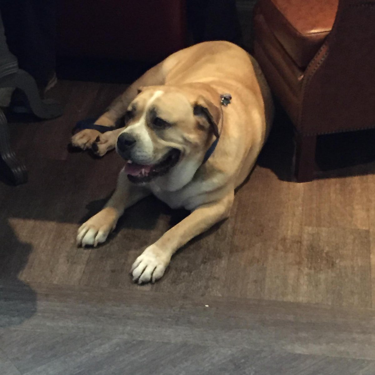 theendlessnote tweet picture