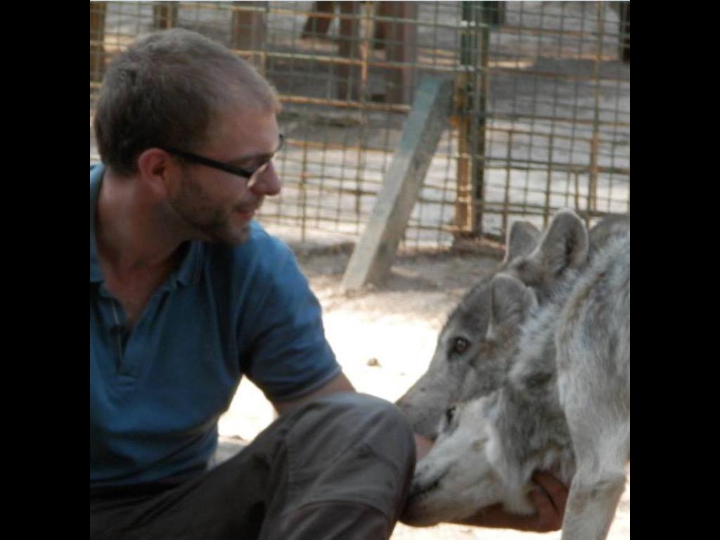 wolfdogbehavior's tweet photo. Une excellente journée passez en compagnie des animaux de l'association Les loups du Castel, merci à toute l'équipe! http://t.co/OXpR9XM3Kl