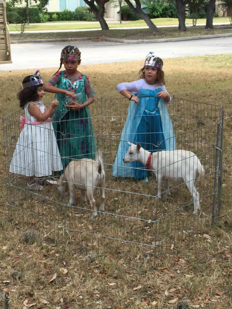 SonterraMembers's tweet photo. all our little divas at the princess party! Look at what you're missing out on! http://t.co/YgDsGYGBXk