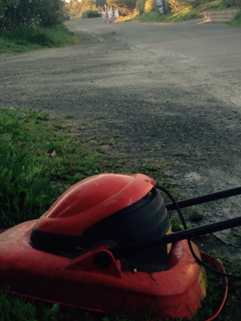 Knut Kvaran tweet media