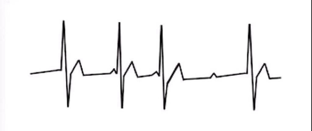 hollomanbeaIs's tweet image. 