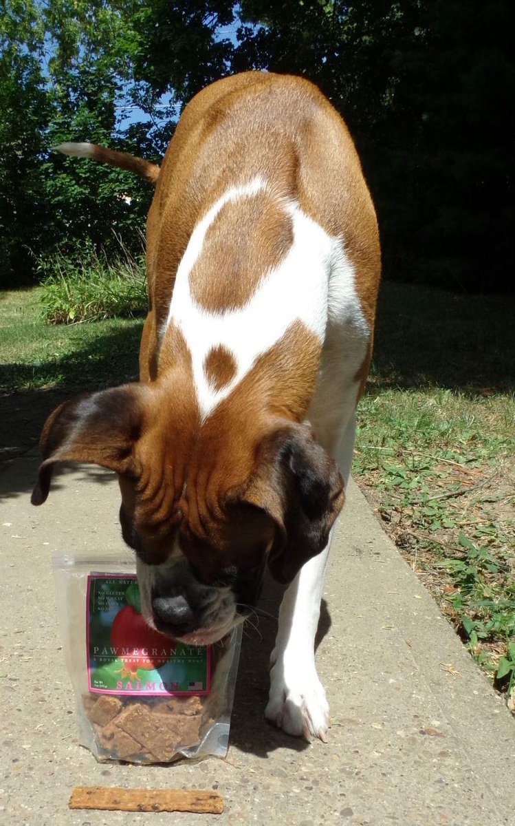 Neptune Blogging Boxer tweet media