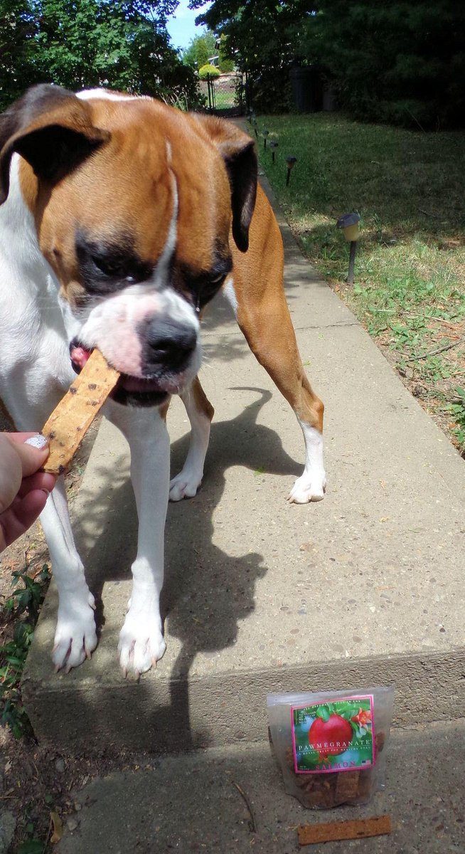 Neptune Blogging Boxer tweet media
