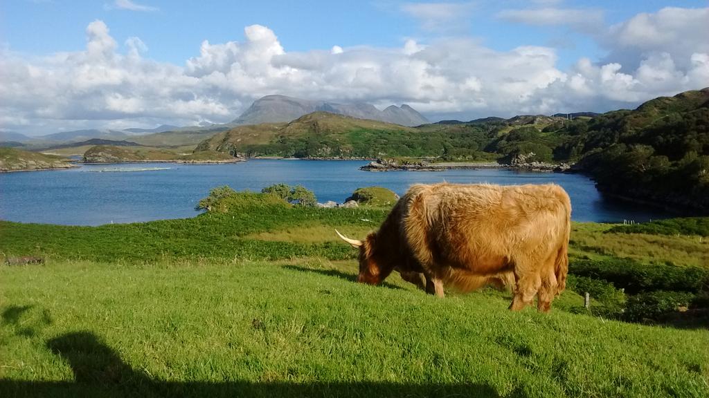 #homeinthehighlands happy days