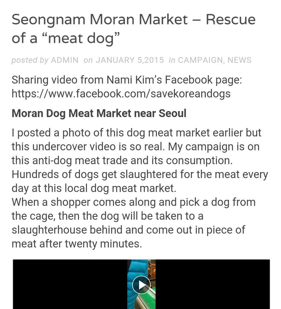 awkward1110's tweet photo. RESCUE OF A "DOG MEAT" in the INFAMOUS SEONGNAM #MoranMarket #StopKoreanCruelty ❗VIDEO❗ https://t.co/vu9xwxNiX3 https://t.co/gA7sA34Lrf