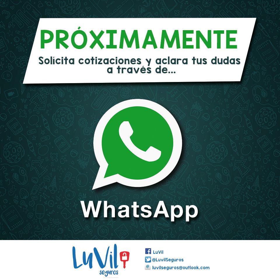 LuvilSeguros's tweet photo. Pronto solicitar cotizaciones y resolver tus dudas será más fácil a través WhatsApp.

¡Solo con #LuVilSeguros! http://t.co/RL2qdBOI7y