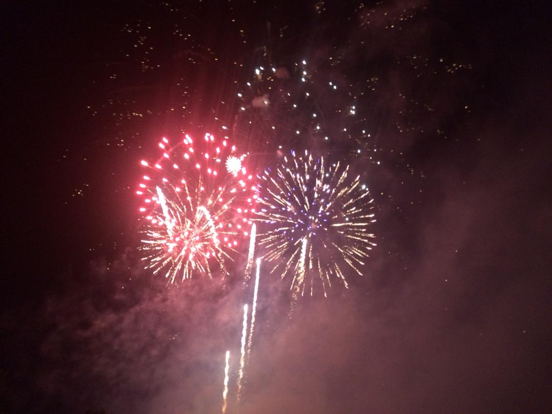 Will Criddle tweet media