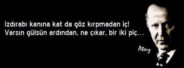 kocabebek's tweet photo. http://t.co/sACFiRgJjd