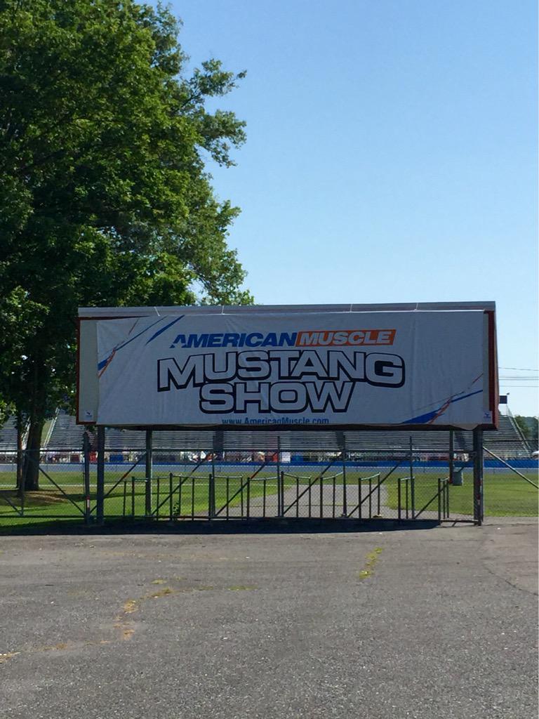 StephWillis30's tweet photo. Drove 12 hours to one of the best car shows I've ever experienced. worth it! #mustang #illinoisgirl @americanmuscle http://t.co/oEBAGl9Dol