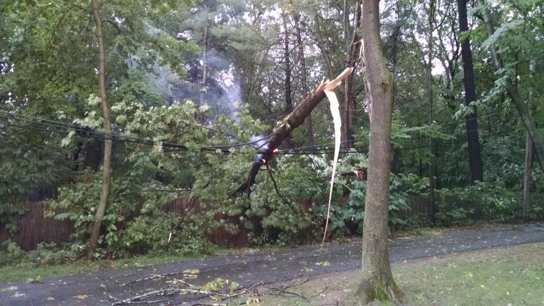 MichaelRaskin1's tweet photo. @BrooklineMAPD Tree fell on wires, causing fire at end of d-way on Warren St. @BrooklineFD on scene with Eversource. http://t.co/t4bKOYR9fZ