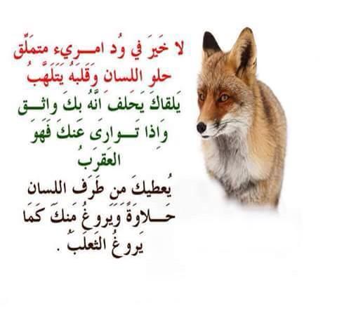 MoIndia's tweet photo. http://t.co/jTqrjgUZGb