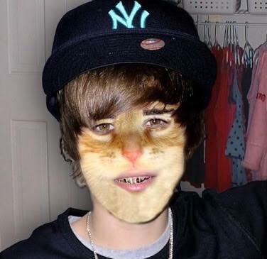 Where are you Meow when I need you? <a href="/justinbieber/">Justin Bieber</a>