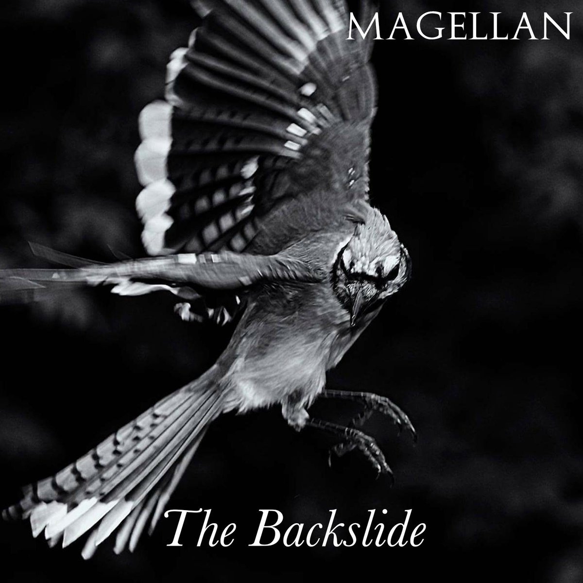 Music share: Magellan "The Backslide"
soundcloud.com/magellan/the-b…