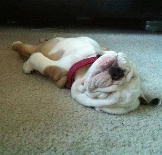QuiBidsCA's tweet photo. Celebrate #RelaxationDay with 5 free bids using promo code RELAX15. Redeem here:  http://t.co/NW4PRr4tKF http://t.co/CdrRohg4Pf