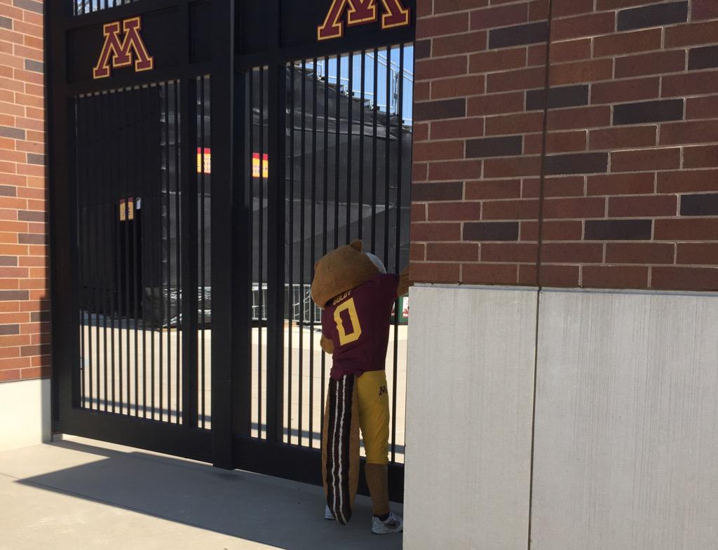 GoldytheGopher's tweet image. Ran over to TCF to find out if I was missing @GopherFootball and found out @ViktorTheViking has a game #Jealous