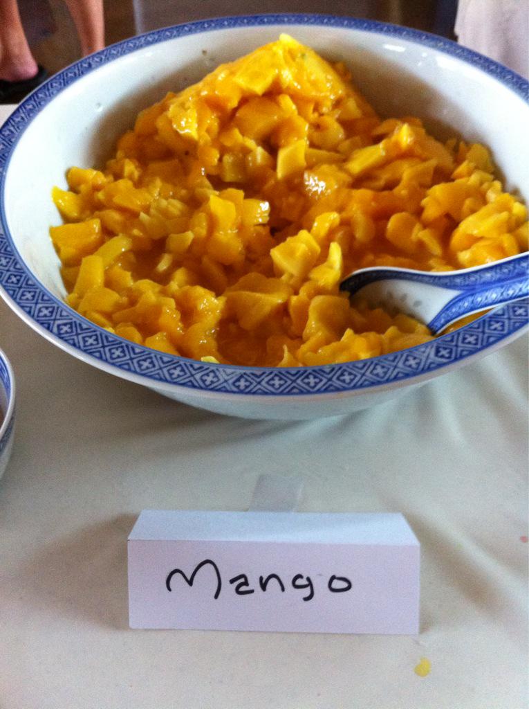 It's the @Soundsofaloha ice cream social!  Mango will sing and be eaten!