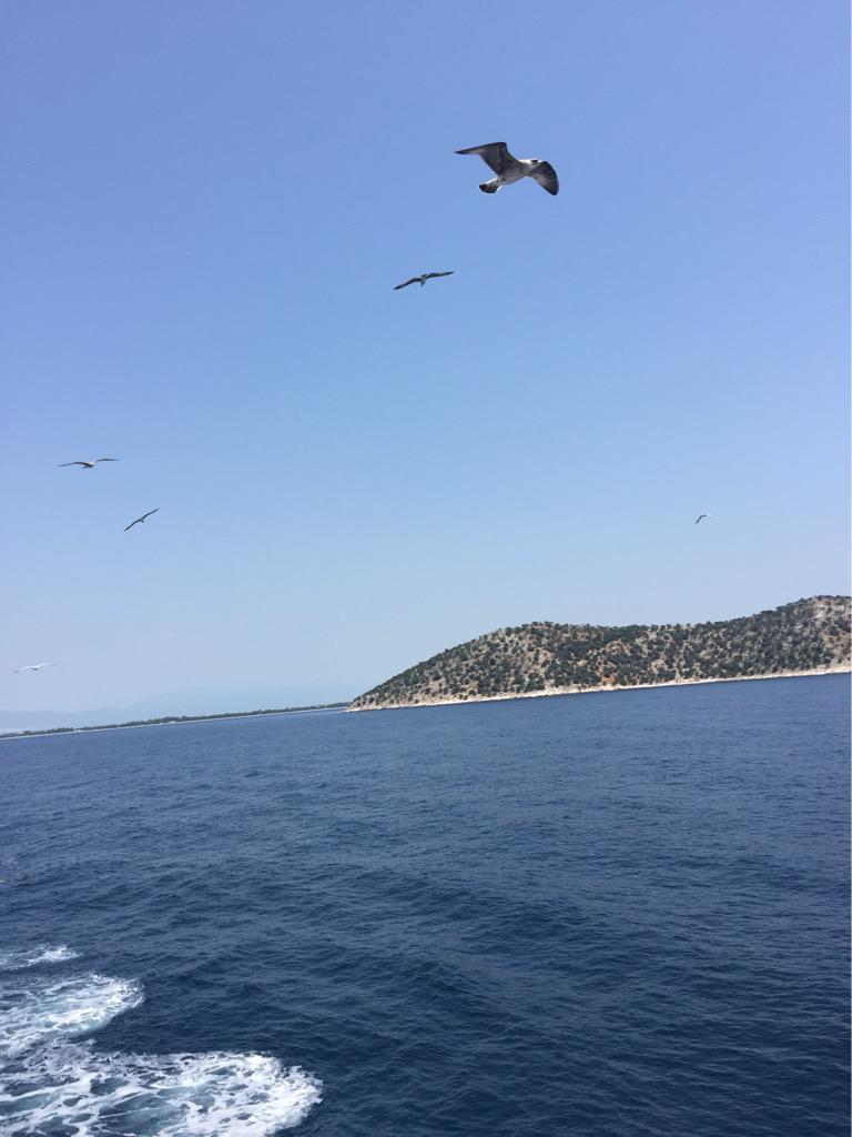 Pazarınız aydın olsun!!!