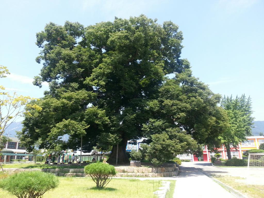 umm (@horiz_eun) on Twitter photo 