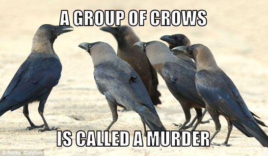 DailyKnowledge2's tweet image. 