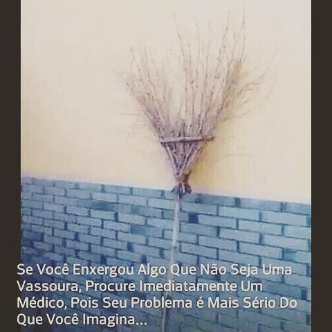 juniorfse's tweet image. 