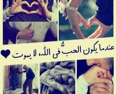 لصمتي حكاية (@ha11_q) on Twitter photo 