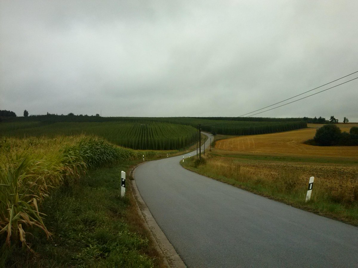 LocalZeroLars's tweet photo. Der erfrischende Sonntagslauf im Hallertauer Landregen. 15 Grad. Mehr braucht's definitiv nicht... http://t.co/v8ZqoypMfw