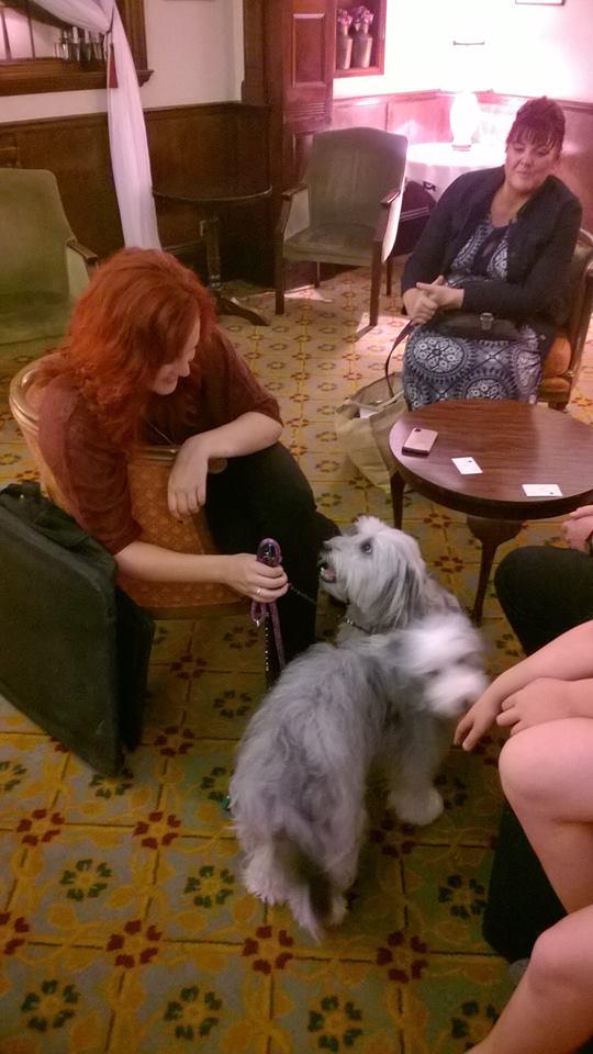 You never know who you might see <a href="/TheHindHotel/">The Hind Hotel</a>! Locals #AshleighandPudsey make regular appearances.
