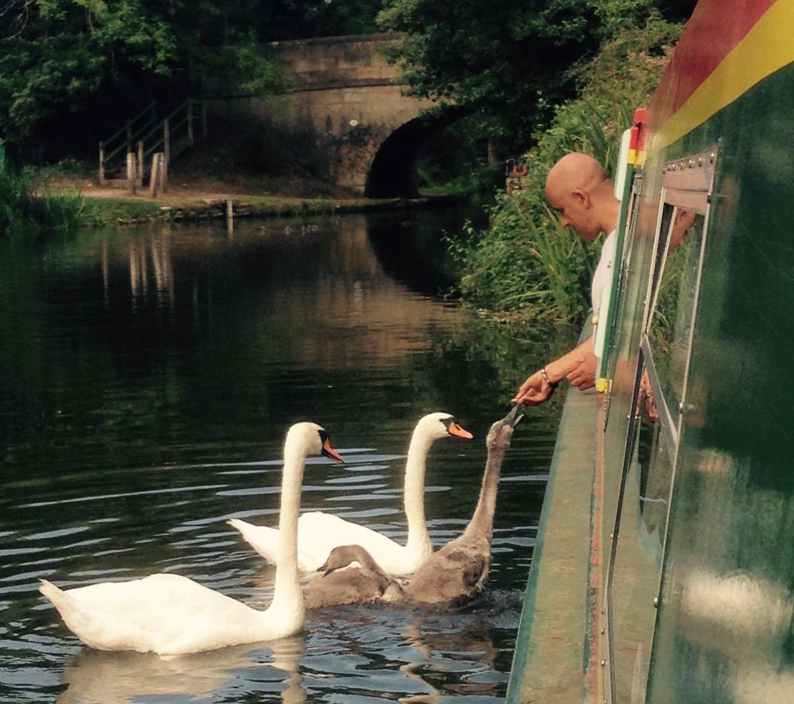 myspgolf's tweet photo. Having a morning chat with the neighbours #loveboatinglife http://t.co/IQ264vzFr9