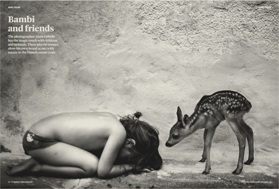 Spectrum: an orphaned fawn finds a new family: six children and their sculptor father thetim.es/1f9PCvM