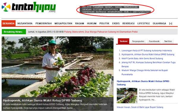 Hydroponik, Alihkan Dunia Wakil Ketua DPRD Subang bit.ly/1DWGBqV