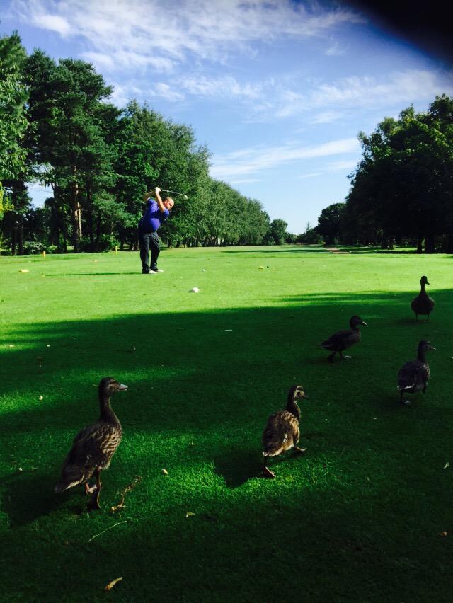 Golf_Society's tweet photo. #robmellor only #birdie of the day @WestDerbyGC http://t.co/77aKhZtAW1