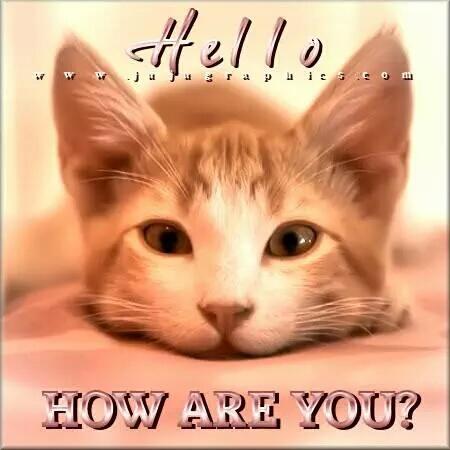 fabfrankiee's tweet photo. Easy like Sunday morning I'm having breakfast with only 2 cats for company #TotalCalm http://t.co/qZcsDlfwpm