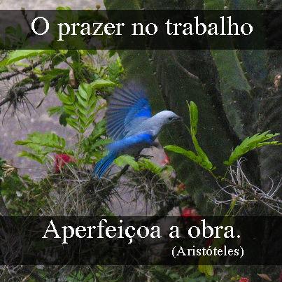vendabemagora's tweet photo. E ai quer aprender como vender mais de verdade ? 
Então acesse: http://t.co/uOHS5mvuWO http://t.co/gbdMFRgJtx