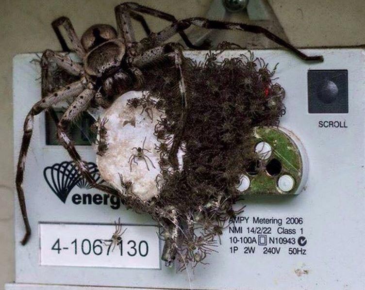 Glad I don't work in Australia! swad-elec.co.uk.....https://t.co/ddmZCzjmpB