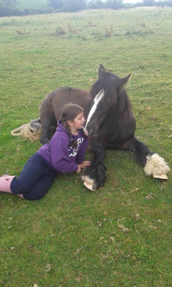linny_jb's tweet photo. #2Late4Some but not4 #Warrior thanx2 @thehorses_voice β€
#SpiritsFund #ForTheLoveOfHorses
PlsText THVC07 Β£5 to 70070 https://t.co/pTYn2js1Ue