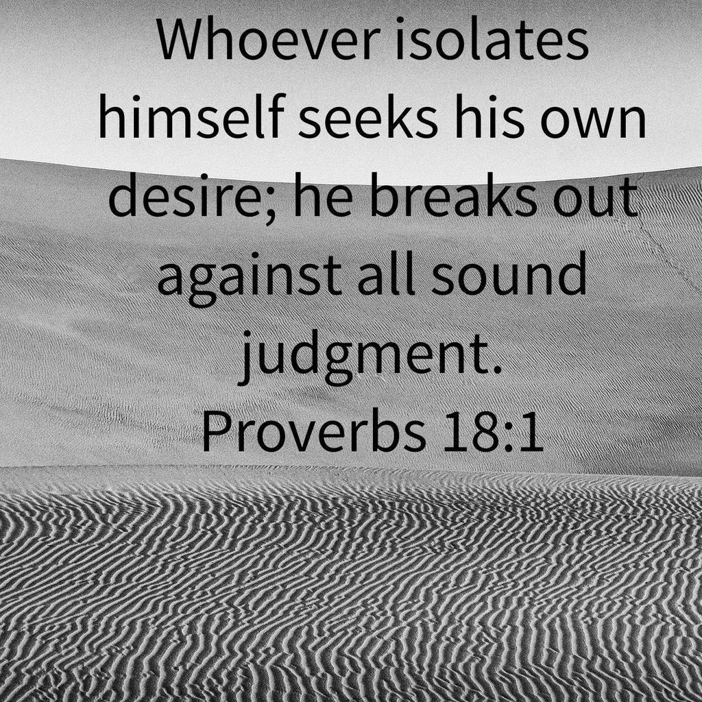 40days4lifeLou's tweet image. Be connected to others #isolation #soundjudgment #Bible #TheWordofTruth #youversionapp #Proverbs
