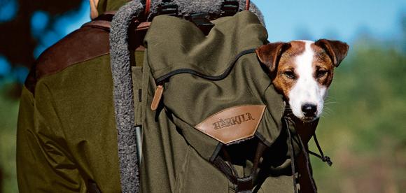 SASProhunter's tweet image. 