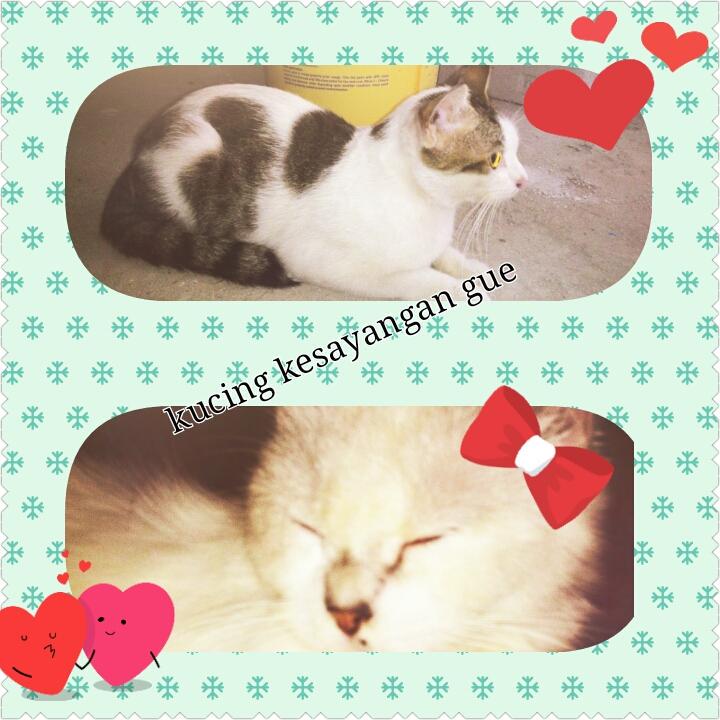 Kholidia (@kholidia3) on Twitter photo 