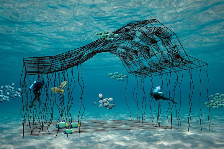 Mongabay Indonesia tweet media